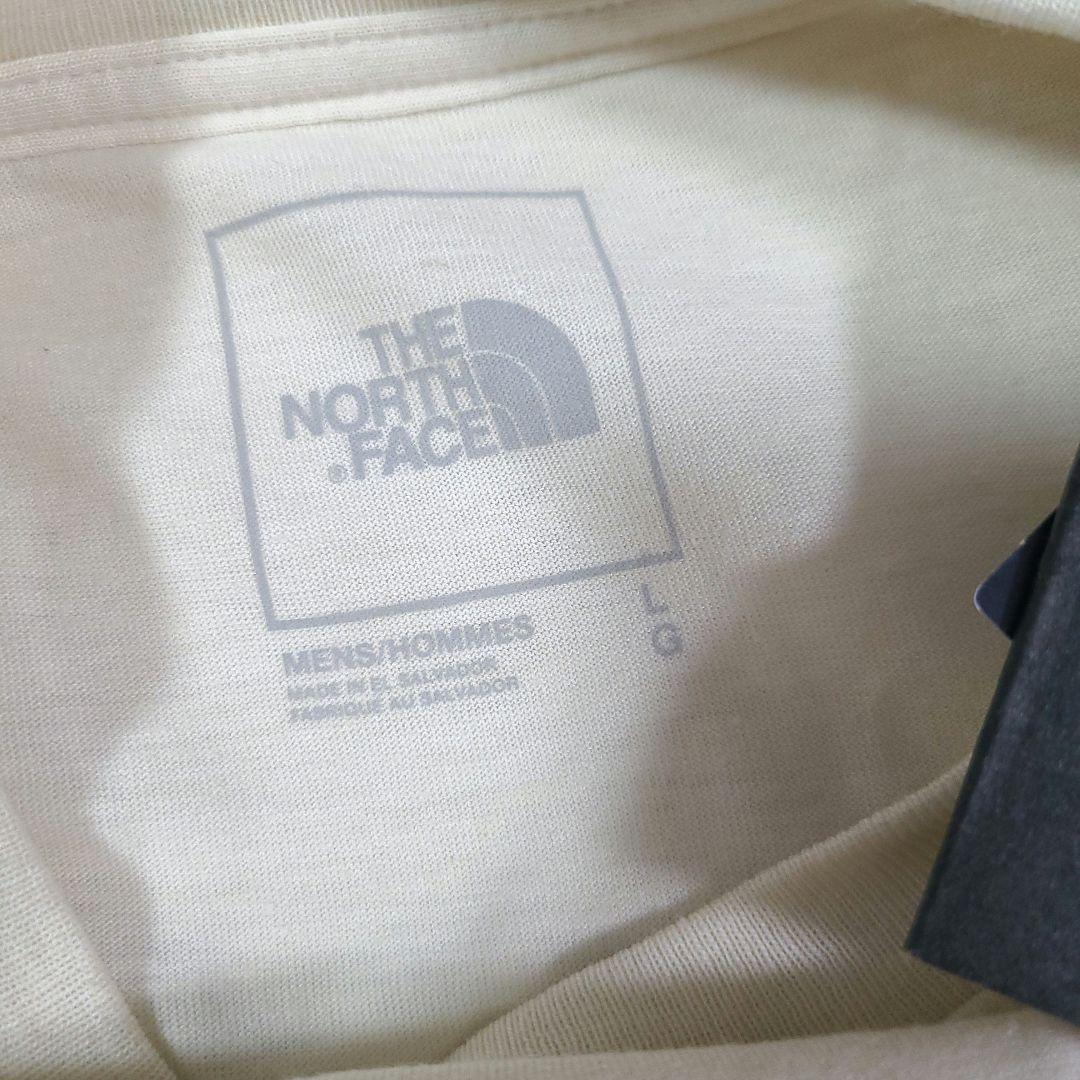 XL ベア 熊 アメリカ ノースフェイス Tシャツ ロゴ ハーフドーム ホワイト　the north face us _画像6