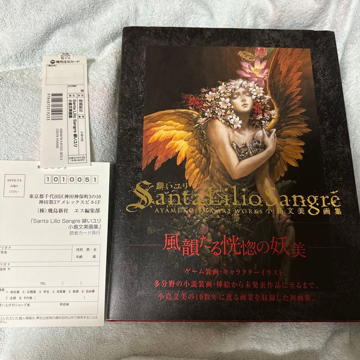 初版 希少 美品 Santa Lilio Sangre 緋いユリ 小島文美 画集 初版 希少 美品 Santa Lilio Sangre 緋いユリ 小島文美 画集