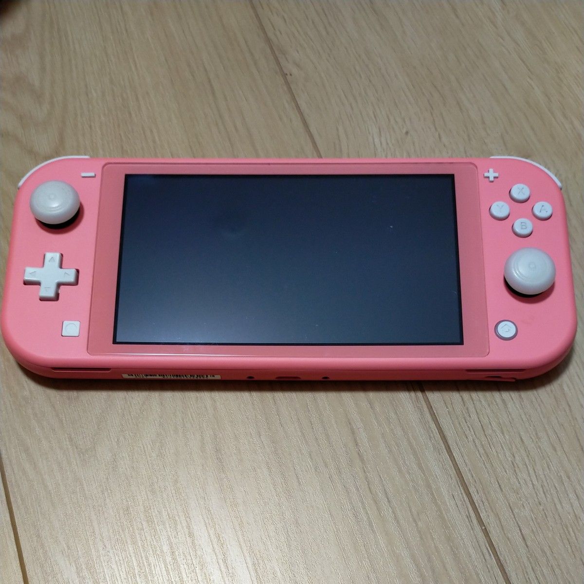 Nintendo Switch Lite　ケース付き