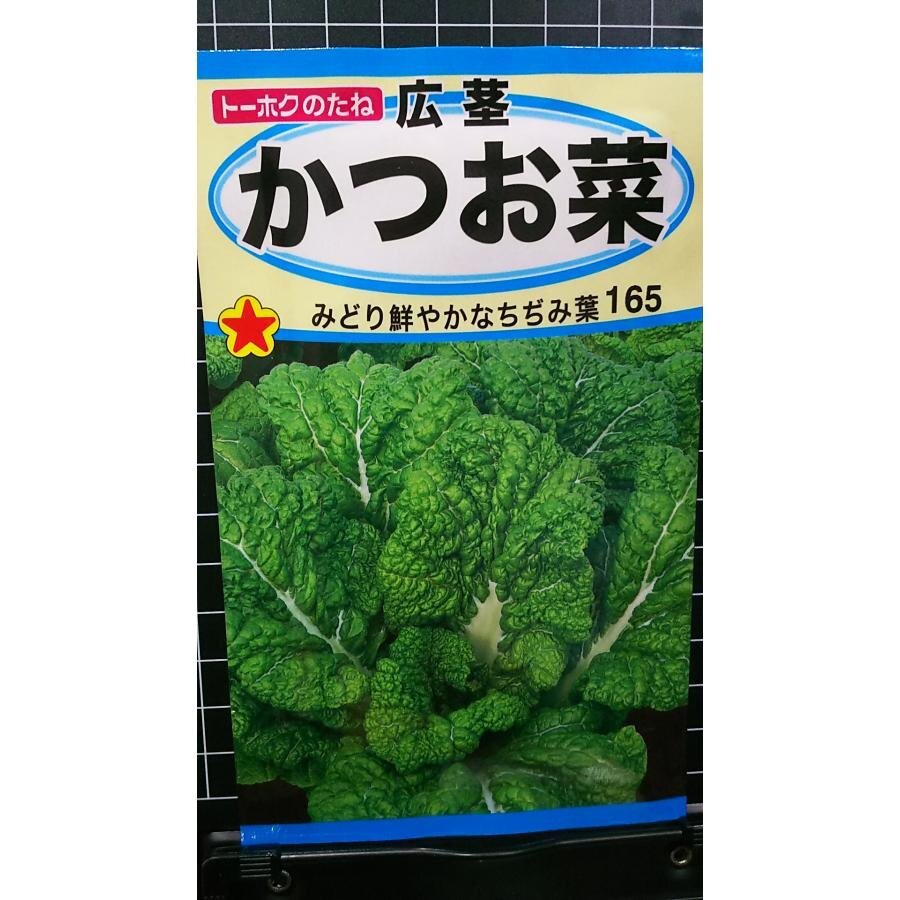 ３袋セット 広茎 かつお菜 かつおな ちぢみ 種 郵便は送料無料_画像1