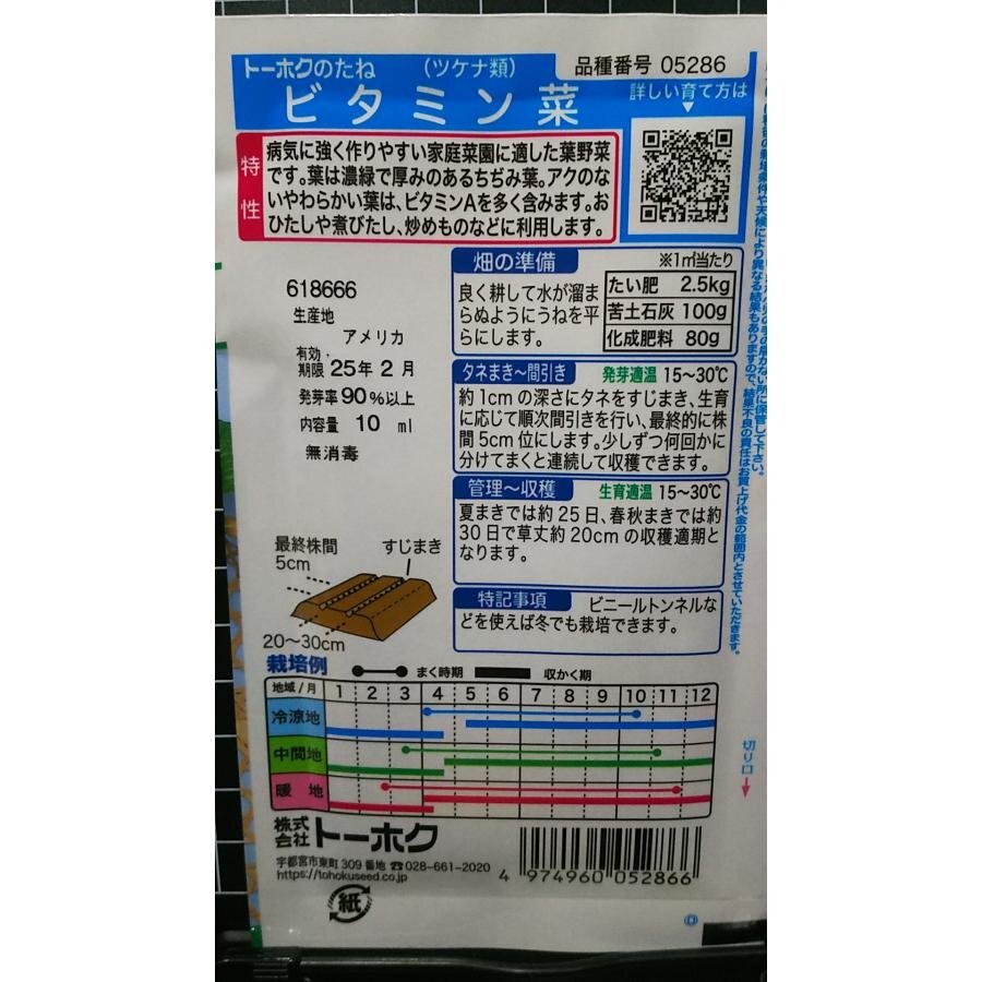 ３袋セット ビタミン菜 ビタミンナ 種 郵便は送料無料_画像2