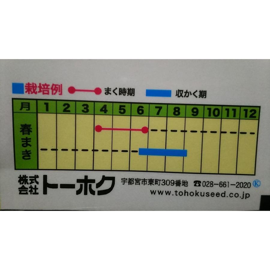 ラベンダー　香りの女王 ３袋セット 種 郵便は送料無料_画像3