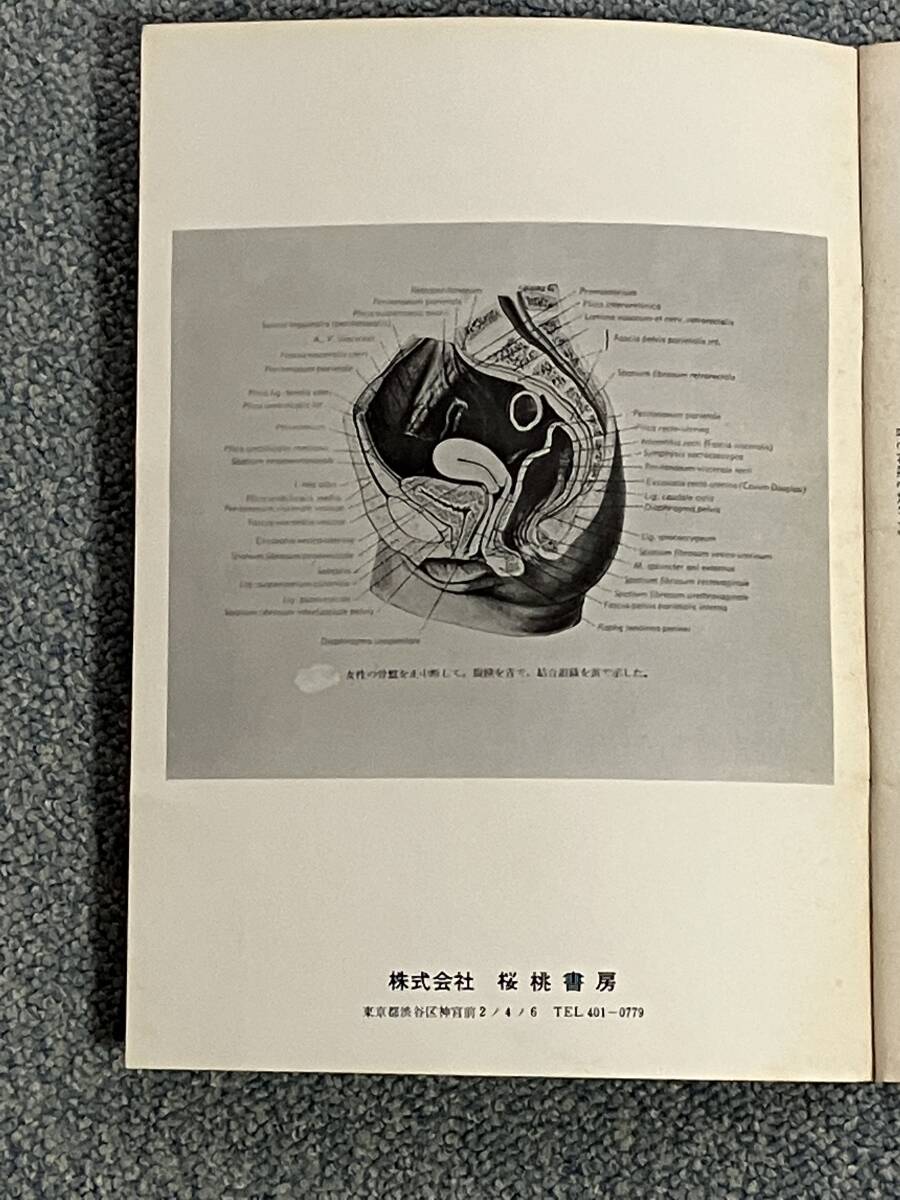 新版男女性解剖図鑑 MAN WOMAN SEX NATOMY BISSECION PICTURE BOOK ②　男女性器のカラー写真入り性解部図 桜桃書房 h50_画像5