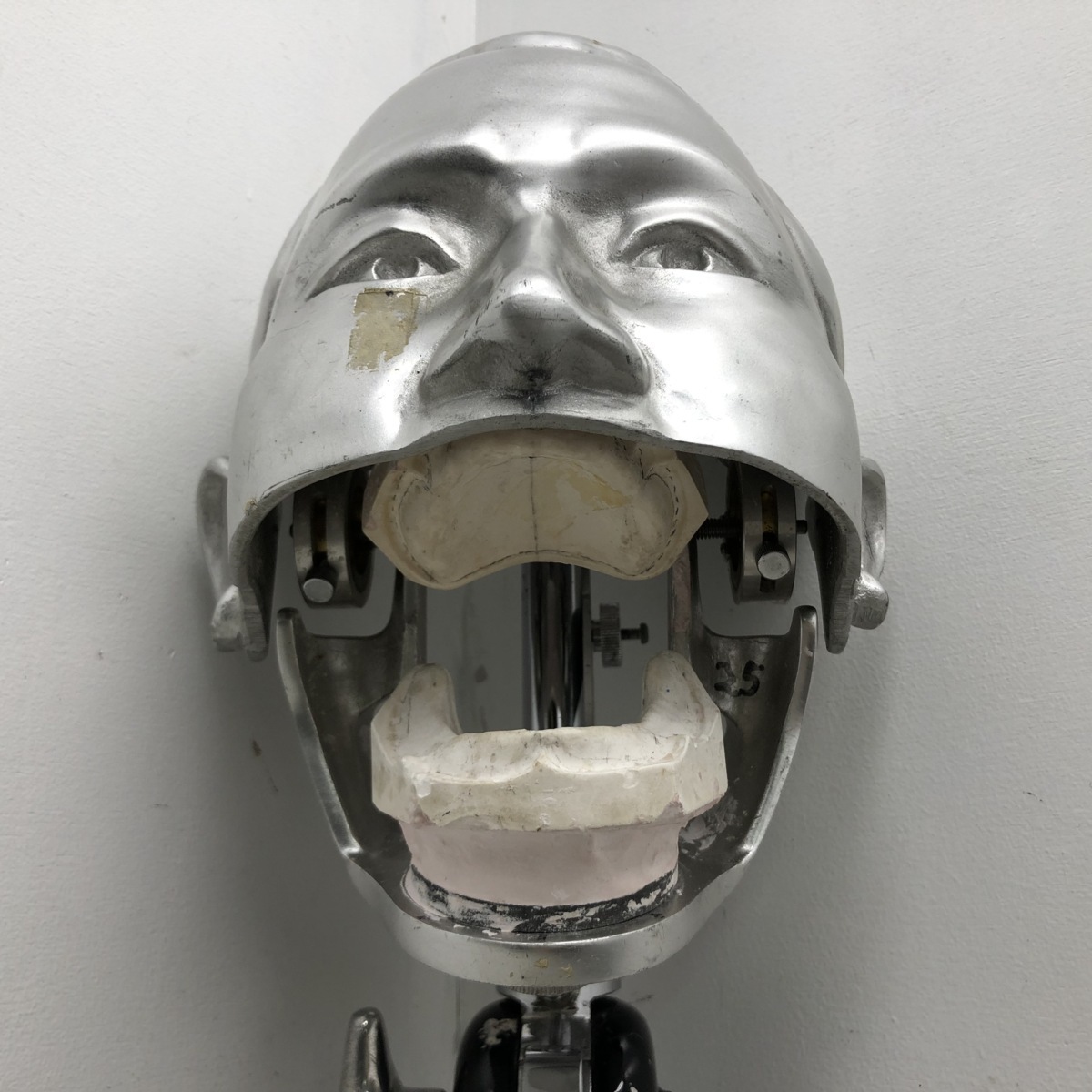 ◆ [8] 人体模型 顔 頭 顔面 アルミ 咬合器 咬合 歯科 技工 練習 オブジェ 石膏 金具大 現状品の画像3