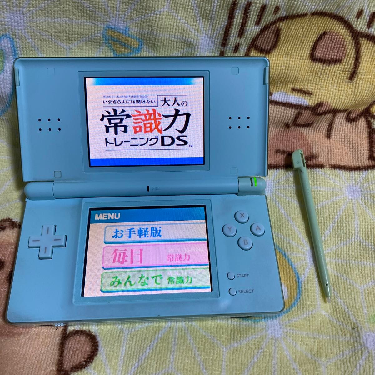 ニンテンドーDS Lite