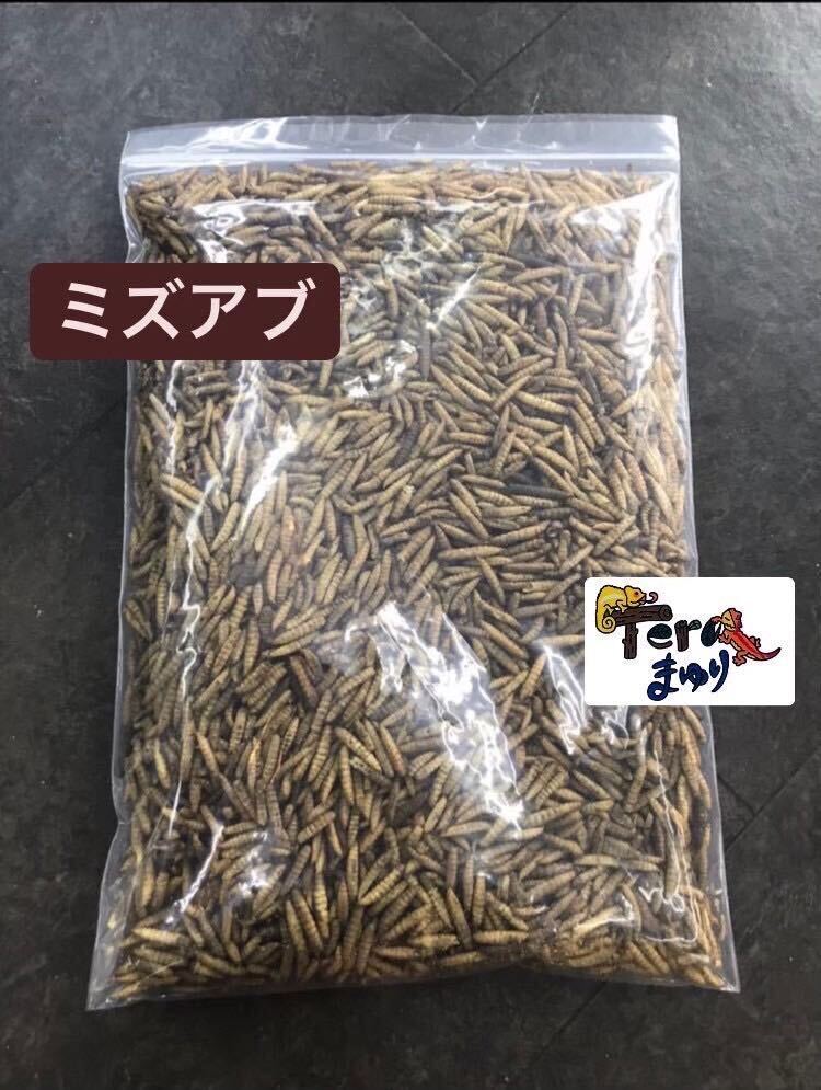 item_image_1