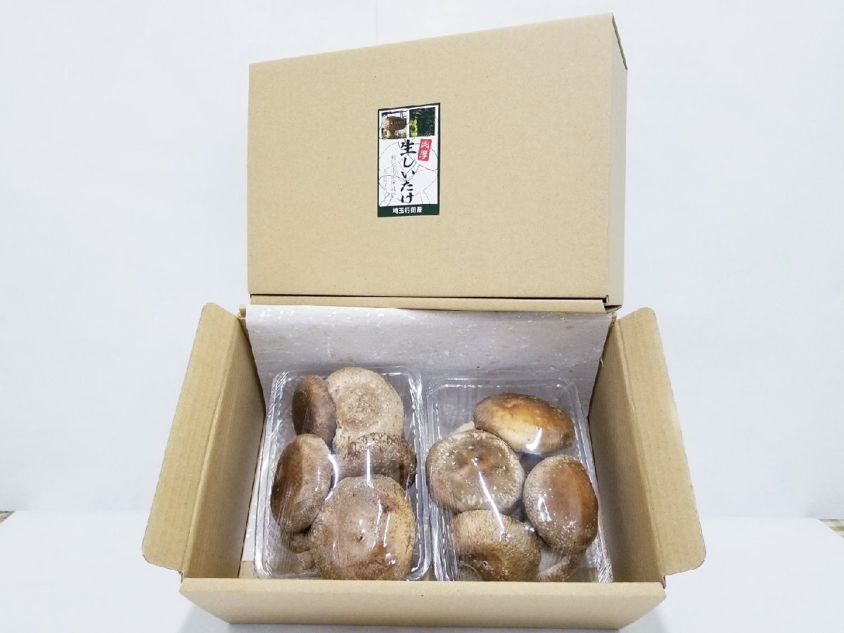 Специализированный грибной гриб Gyoda (большой размер) около 1040 г (1,4 кг)