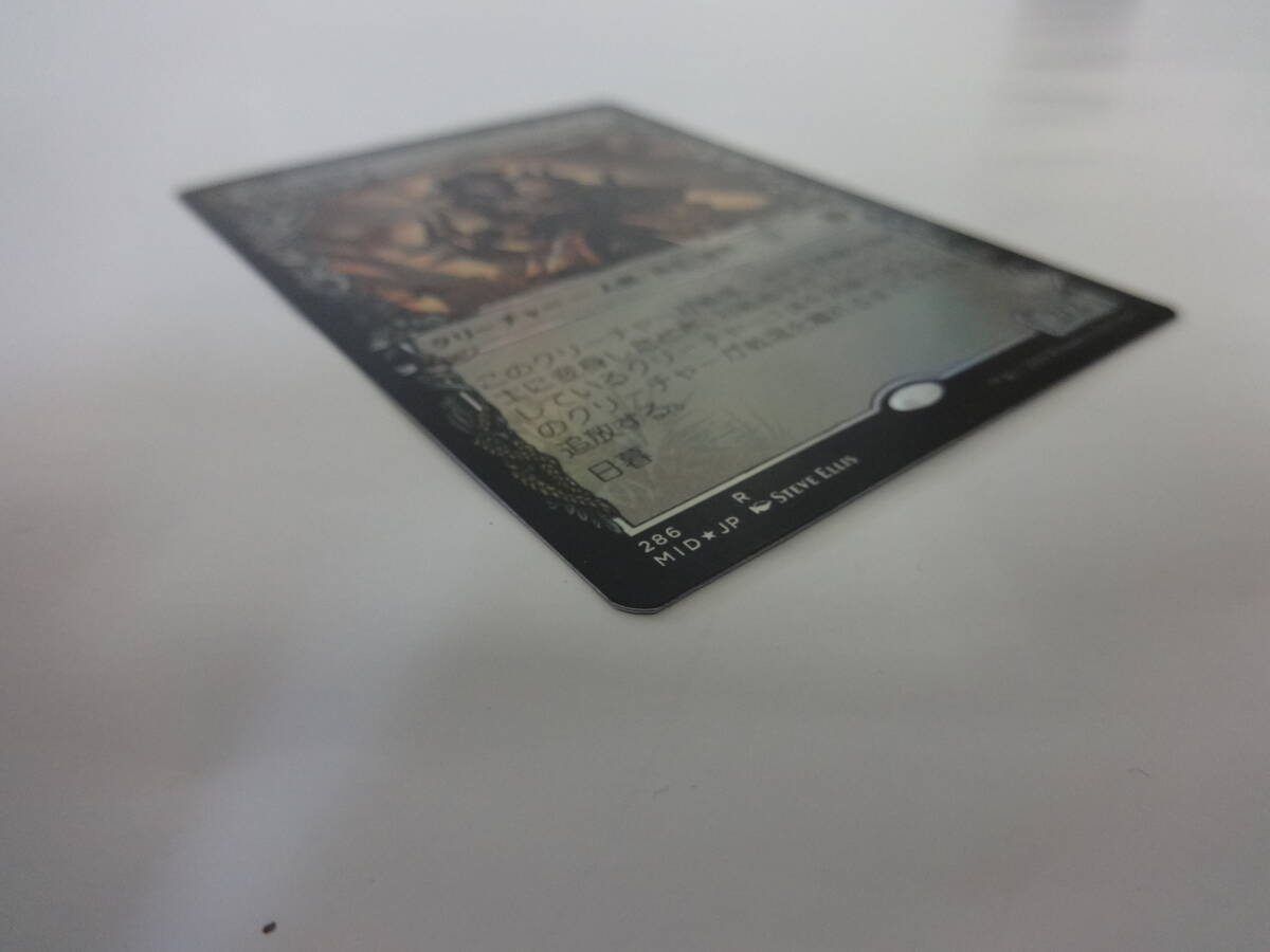 H011 中古 トレカ マジックザギャザリング MTG 粗暴な聖戦士 Brutal Cathar 日本語 Foil ショーケース イニストラード : 真夜中の狩り_画像5