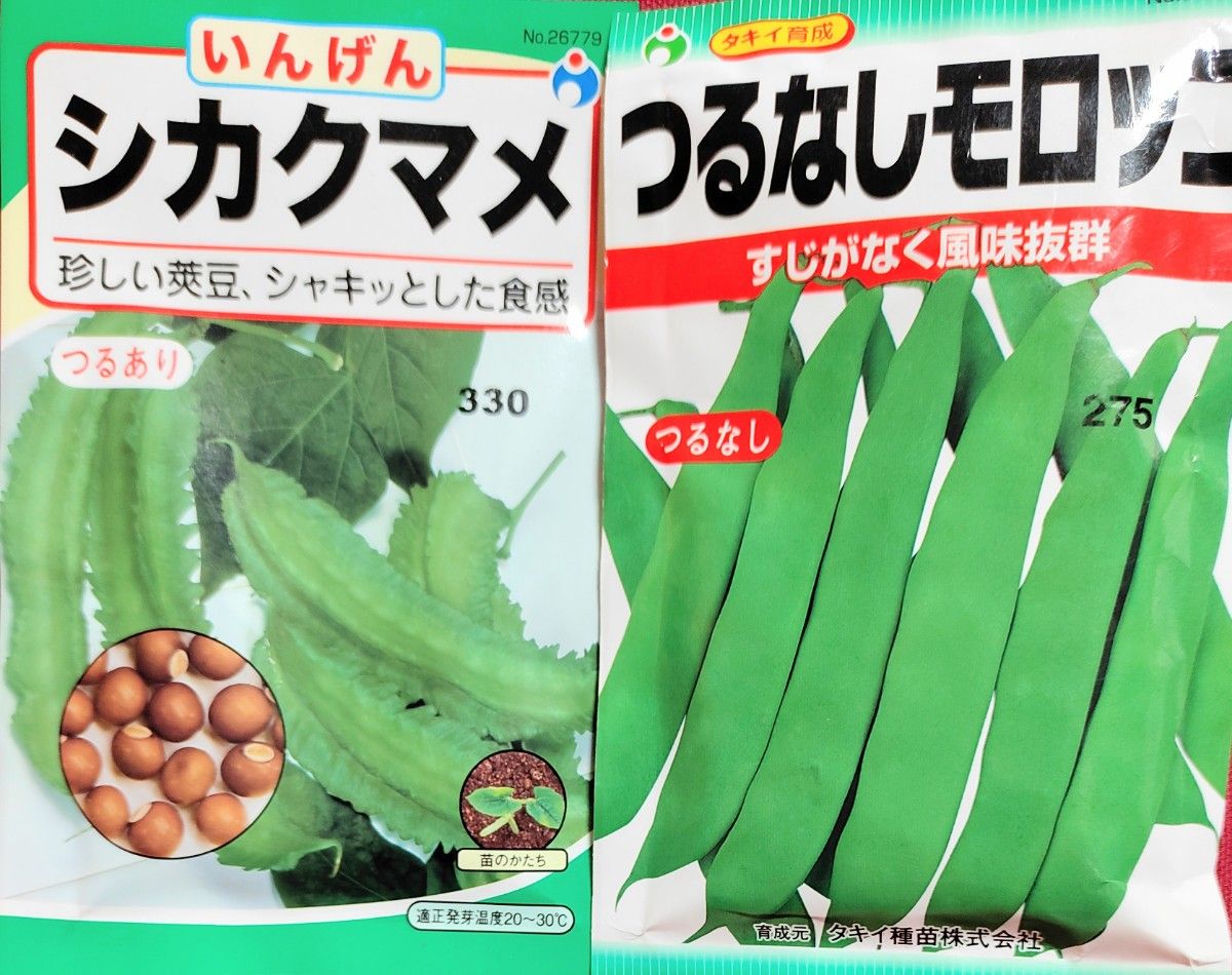 ★レア野菜のタネ★シカクマメ★つるなしモロッコ★オマケ2種類付★