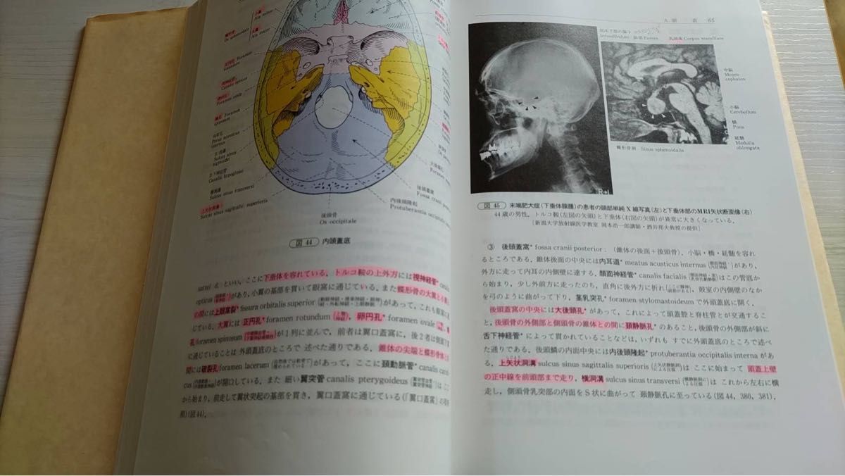 人体解剖学 南江堂