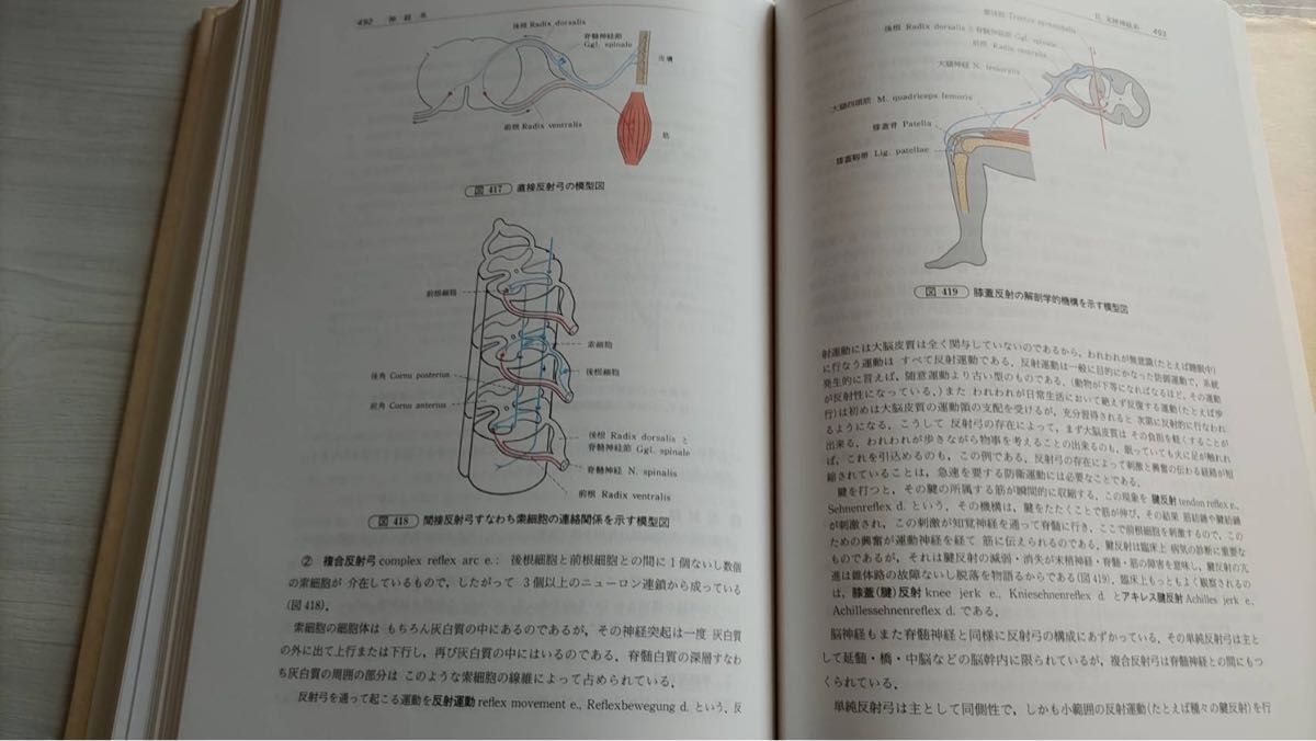 人体解剖学 南江堂