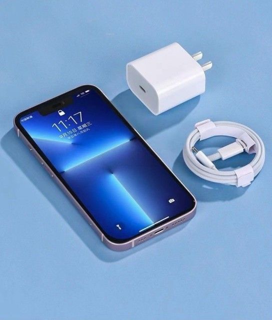 50W急速充電器セット iPhone タイプCライトニングケーブル2m 充電ケーブル 急速充電 iPhone充電ケーブル