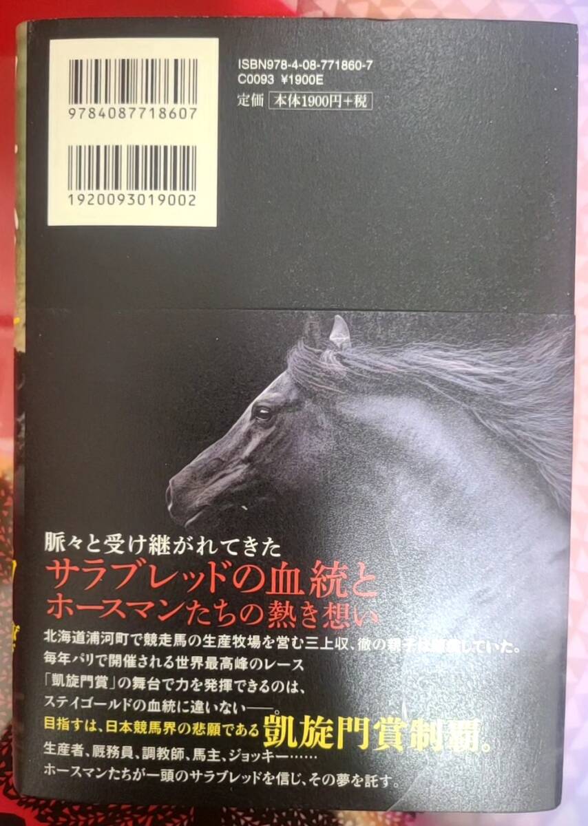 【取引き注意事項有り】フェスタ 馳星周 中古本_画像2