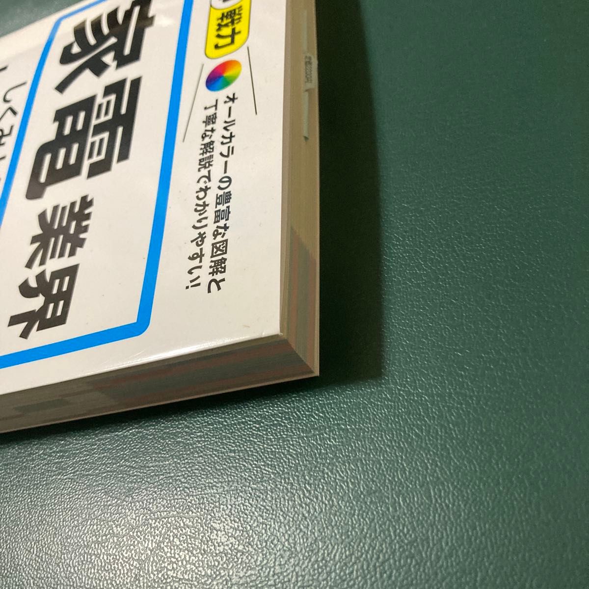 家電業界のしくみと仕事がこれ１冊でしっかりわかる教科書 （図解即戦力：オールカラーの豊富な図解と丁寧な解説でわかりやすい！）