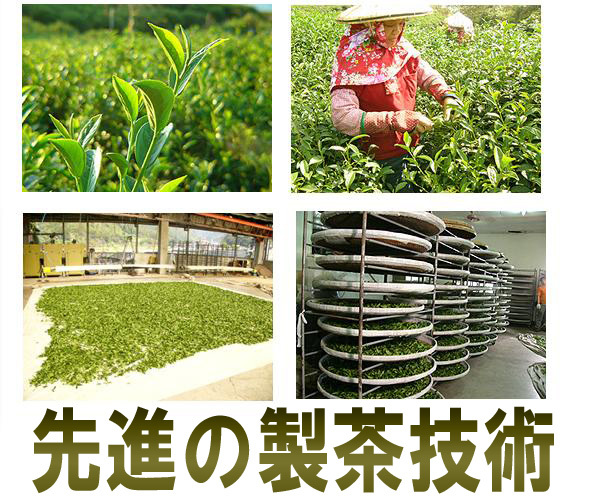 貴重！台湾東方美人茶75g タイワン白毫烏龍茶 本格 高級中国茶葉 定形外郵便全国送料無料 台湾直輸入 美食同源オリジナル_画像6