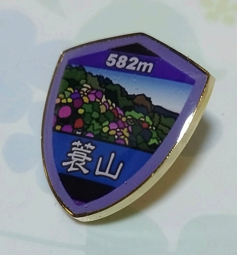 登山記念　埼玉50山　蓑山　バッジ_画像1