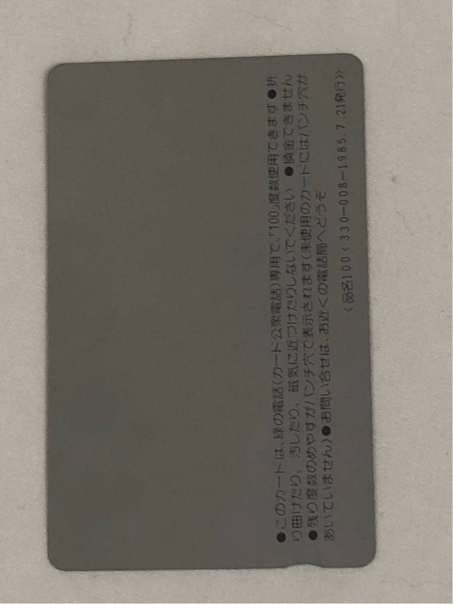 ヤフオク 風見鶏の館 テレホンカード 100度数 テレカ ヤフオク 風見鶏の館 テレホンカード 100度数 テレカ