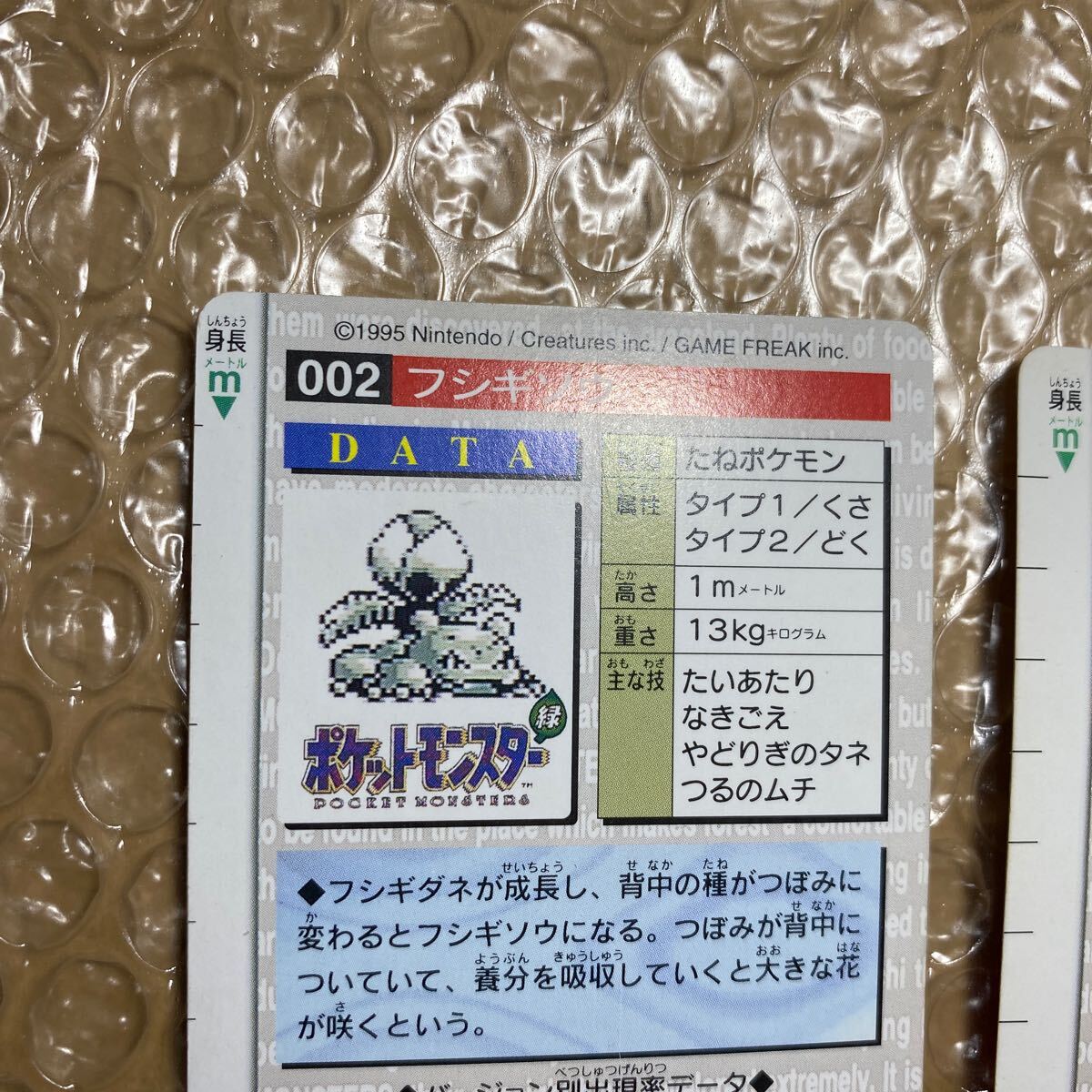 2枚セット BANDAI バンダイ 1996 ポケモン カードダス ポケモンカード 緑 赤 フシギソウ_画像8