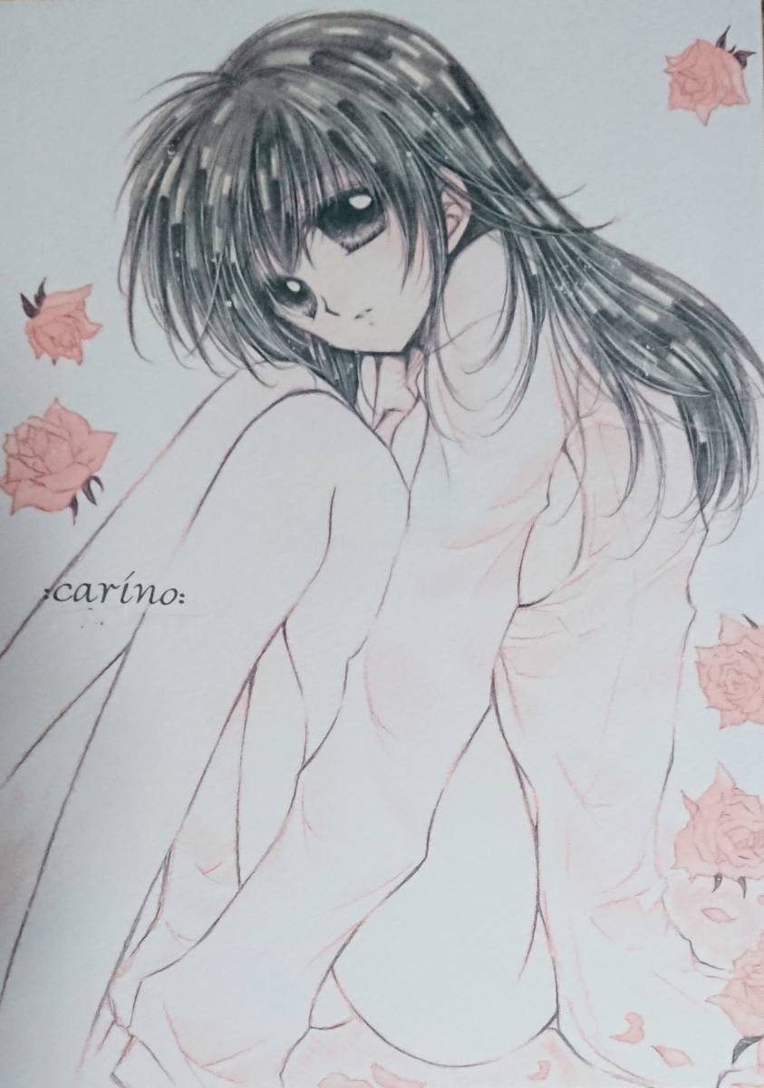 犬夜叉同人誌「carino」《犬夜叉×かごめ》