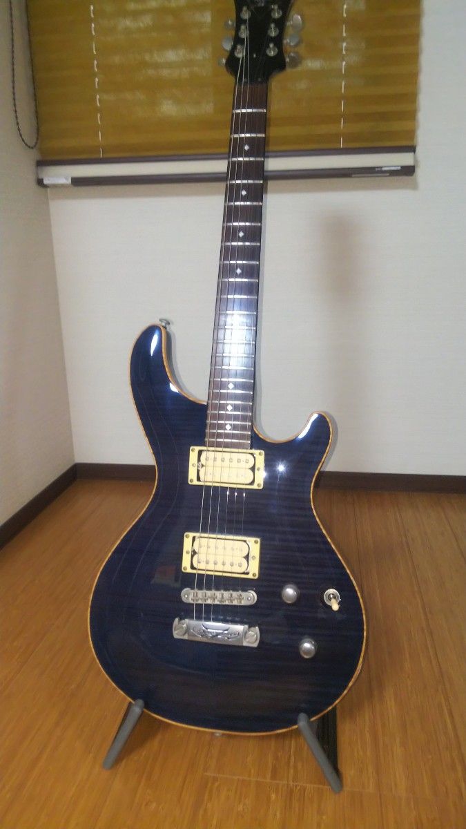 DBZ MONDIAL FM フジゲン ディマジオ PAF  DP223 103 dimarzio 36anniversary