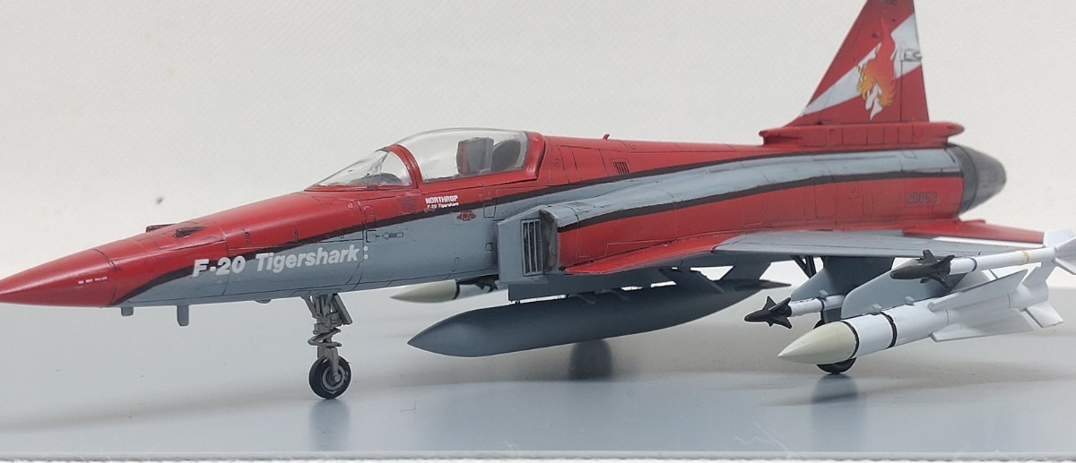 エリア88 F-20 タイガーシャーク試作1号機カラー 風間機 塗装済み完成品_画像2