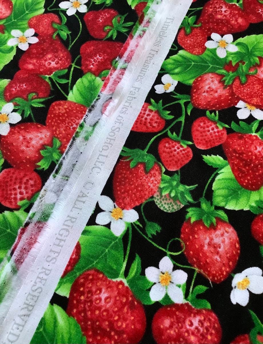 USAコットン*タイムレストレジャーズ*Strawberry Field苺畑45cm