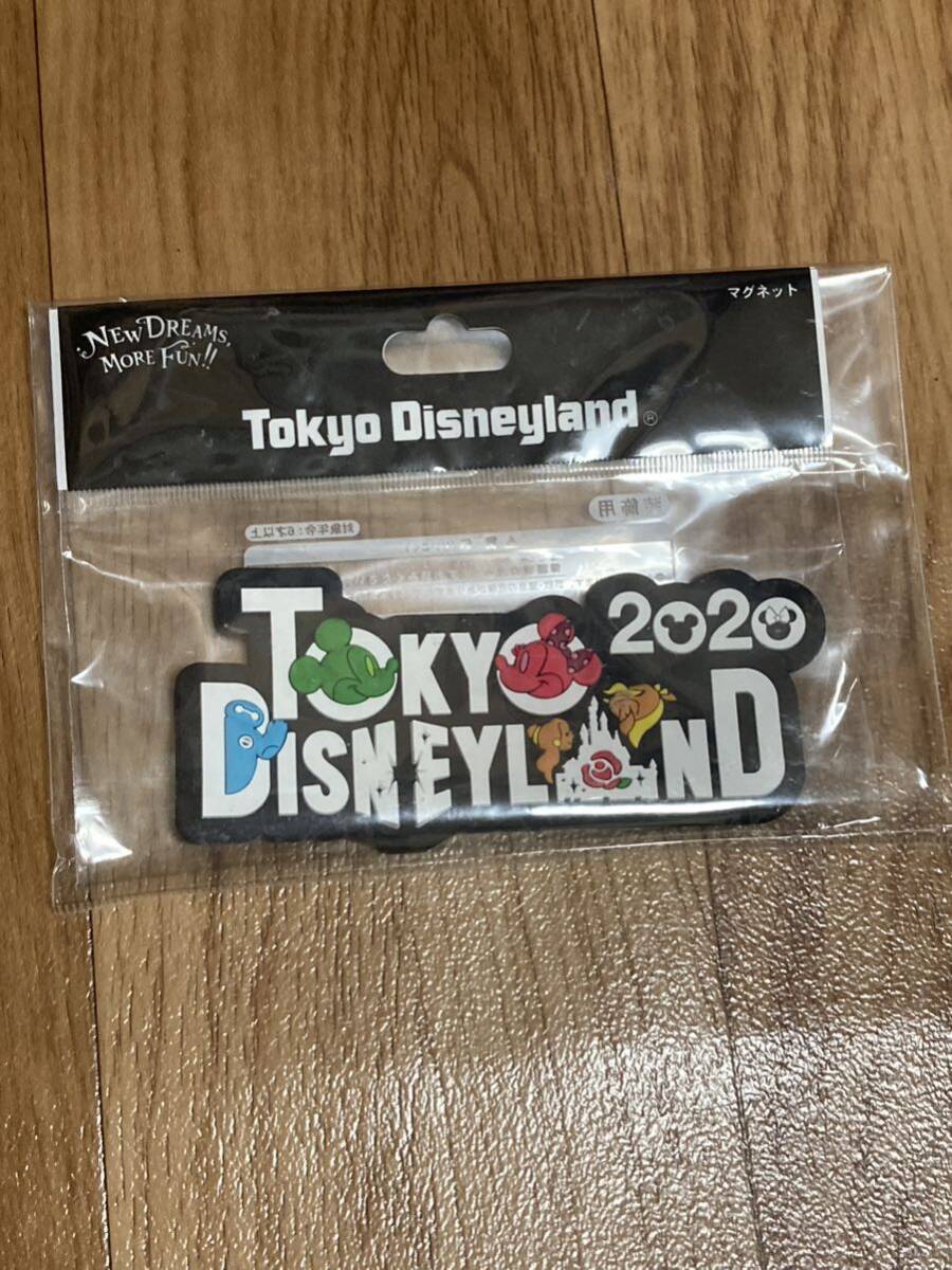 東京ディズニーランド 2020 マグネット_画像1