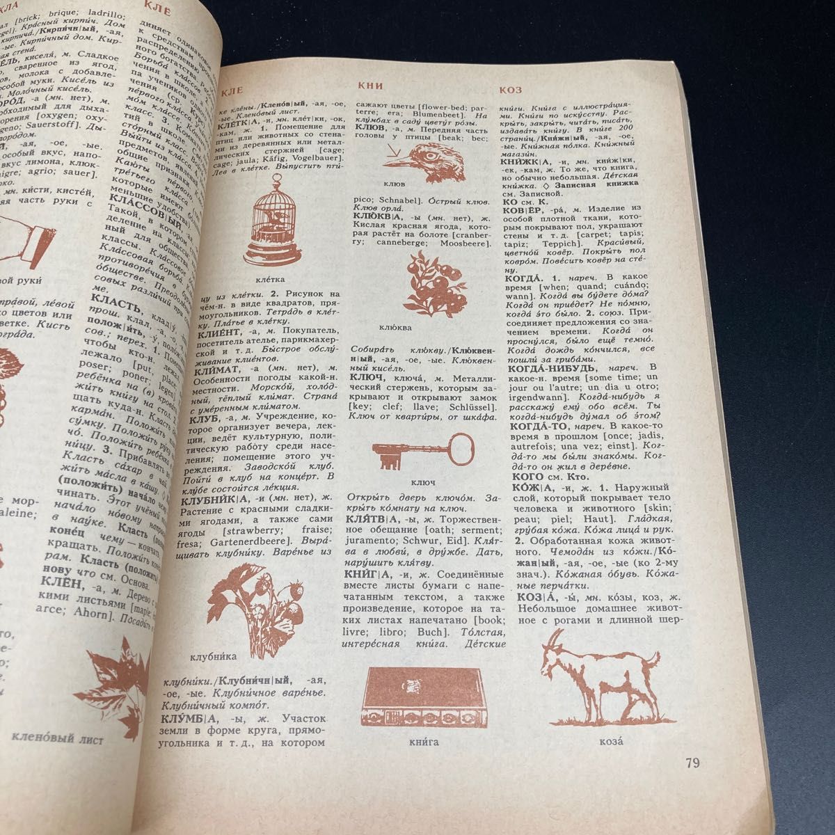 ロシア語学習に ロシア語簡潔解説辞書(露露辞典) 送料無料 ロシア語学習に ロシア語簡潔解説辞書(露露辞典) 送料無料