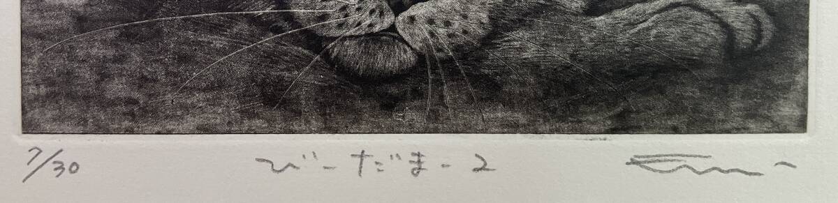 《真作》 《銅版画》 ◇ 佐藤恵美 「びーだま-2」 ねこ 猫 額装 ◇ エッチング 千葉_画像4