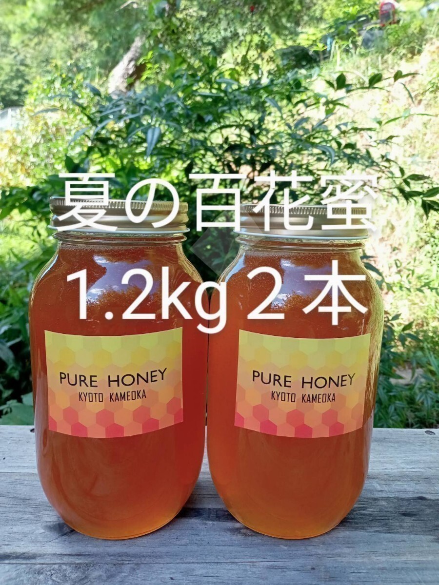 国産 純粋 蜂蜜 生はちみつ 1.2kg　２本　夏蜜_画像1