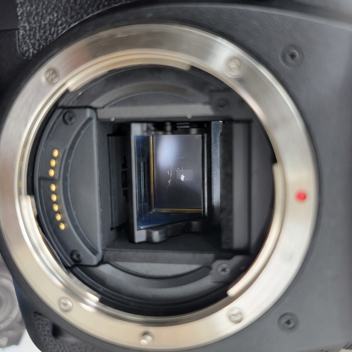 Canon 7D本体+レンズTAMURON Di2 18-270mm 1:3.5-6.3_画像7