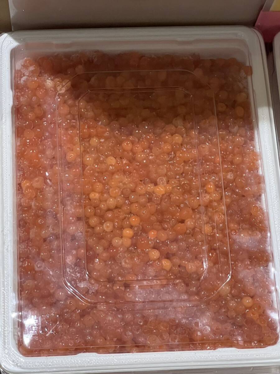 醤油　鱒いくら　イクラ　特売　１p ２５０g _画像1