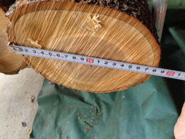 ナメコの成る木 ホダ木 1年物 そめいよしの 重箱式 20kg～24kg入り：ヤマト運輸 Fサイズ運賃専用商品の画像2