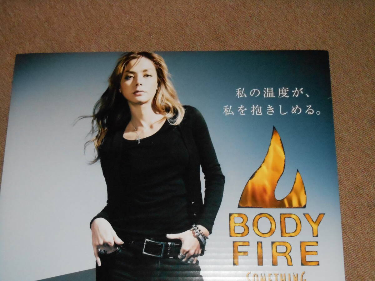 店頭厚紙看板2★土屋アンナ・BODYFIRE・エドウィン・芸能人・タレント・モデル・未使用・両面★企業物・非売品_画像5