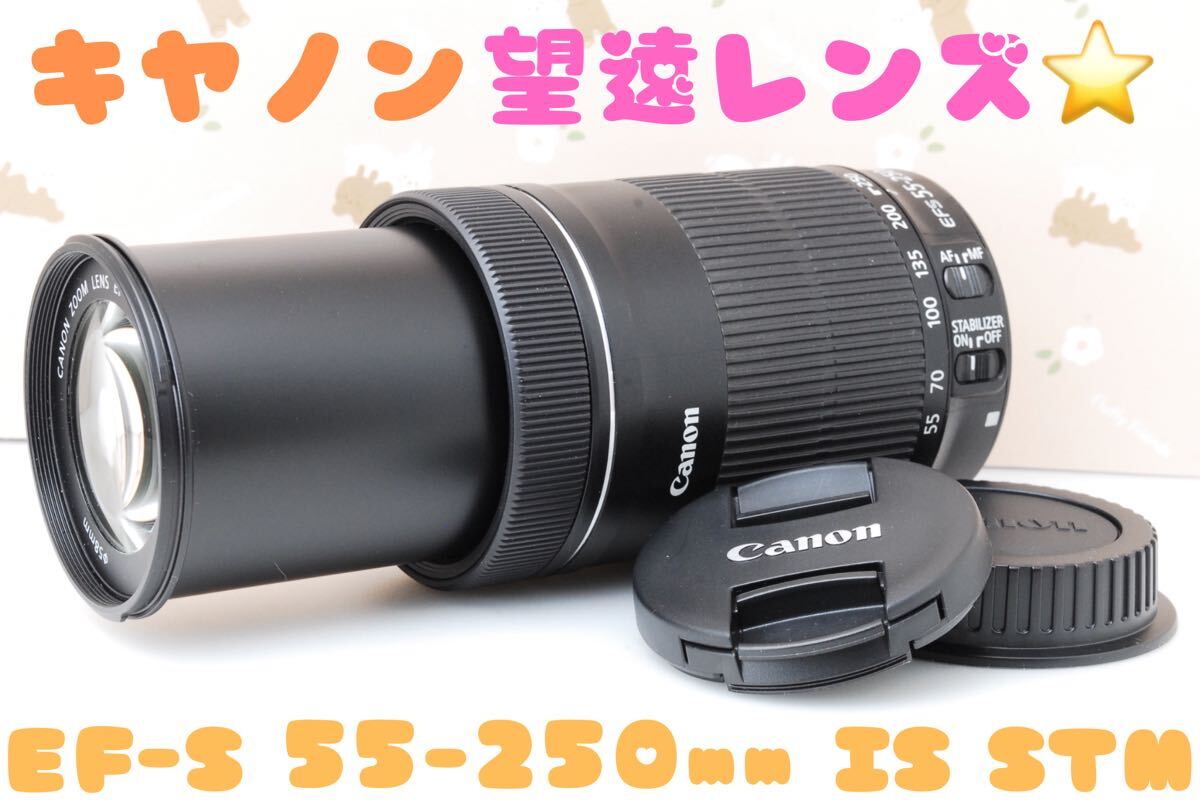 美品 望遠レンズ Canon EF-S 55-250mm F4-5 6 IS STM 静かなズーム