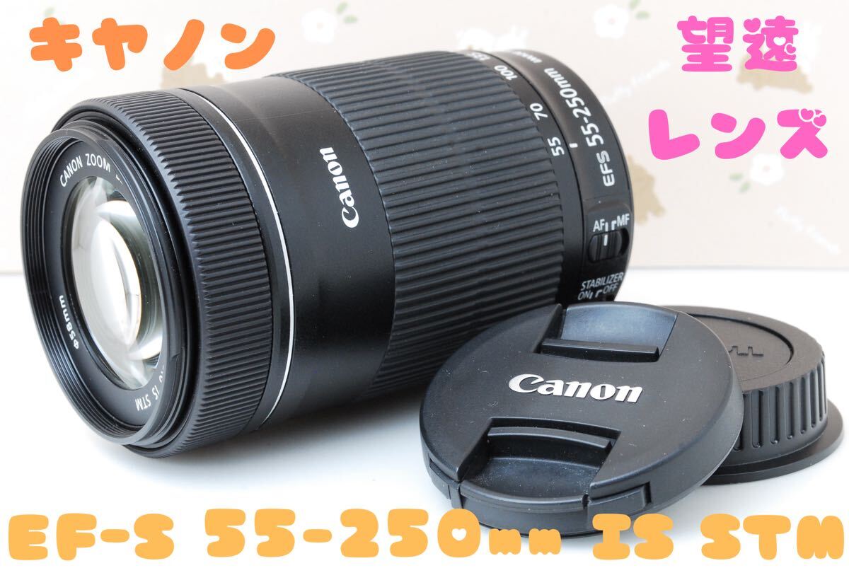 美品★キヤノン 望遠レンズ★Canon EF-S 55-250mm F4-5.6 IS STM★静かな駆動★動画撮影にも最適★