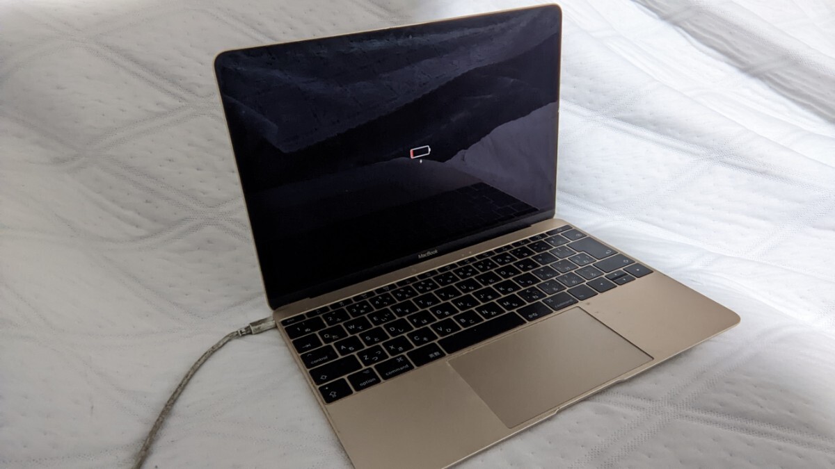 MacBook A1534_画像1