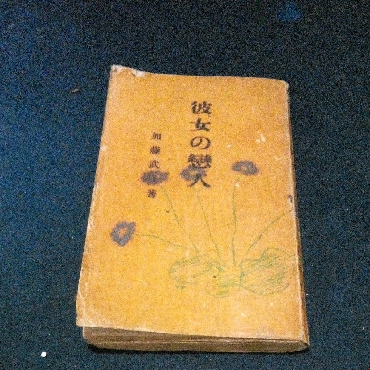 古書 小説 加藤武雄 ｢彼女の戀人｣ 金星堂名作叢書 大正11年発行 初版