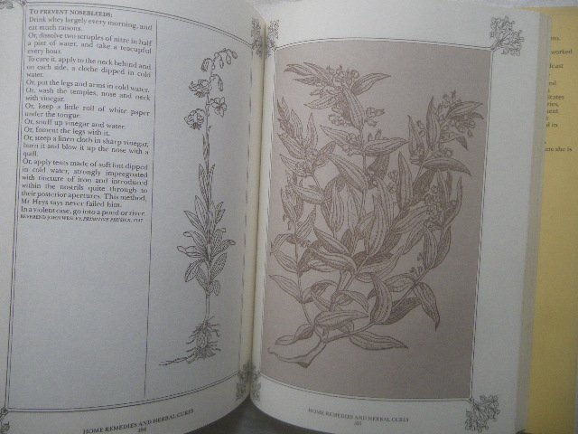 ハーブ 薬用植物 洋書 The Book of Home Remedies and Herbal Cures Carol Bishop 古典 花・植物画 草本・薬草/ハーブ治療_画像2