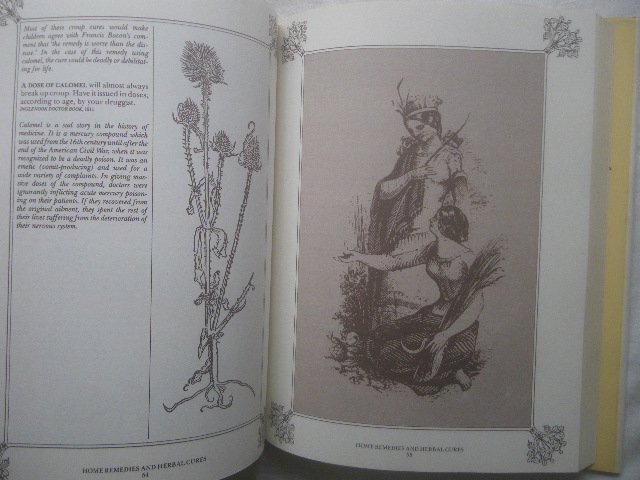 ハーブ 薬用植物 洋書 The Book of Home Remedies and Herbal Cures Carol Bishop 古典 花・植物画 草本・薬草/ハーブ治療の画像3