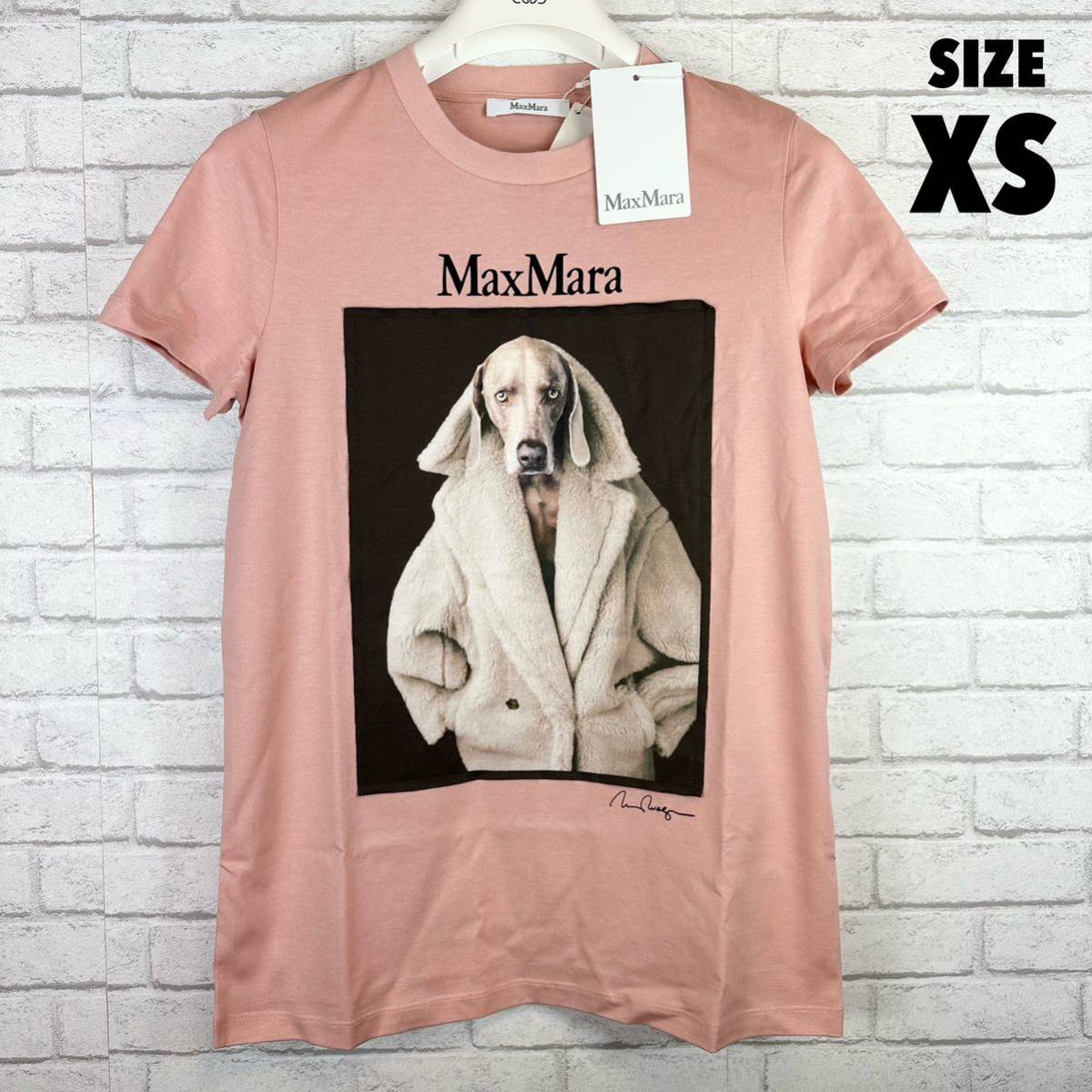 新品100%本物 MAXMARA ドッグ Tシャツ マックマーラ XS_画像1