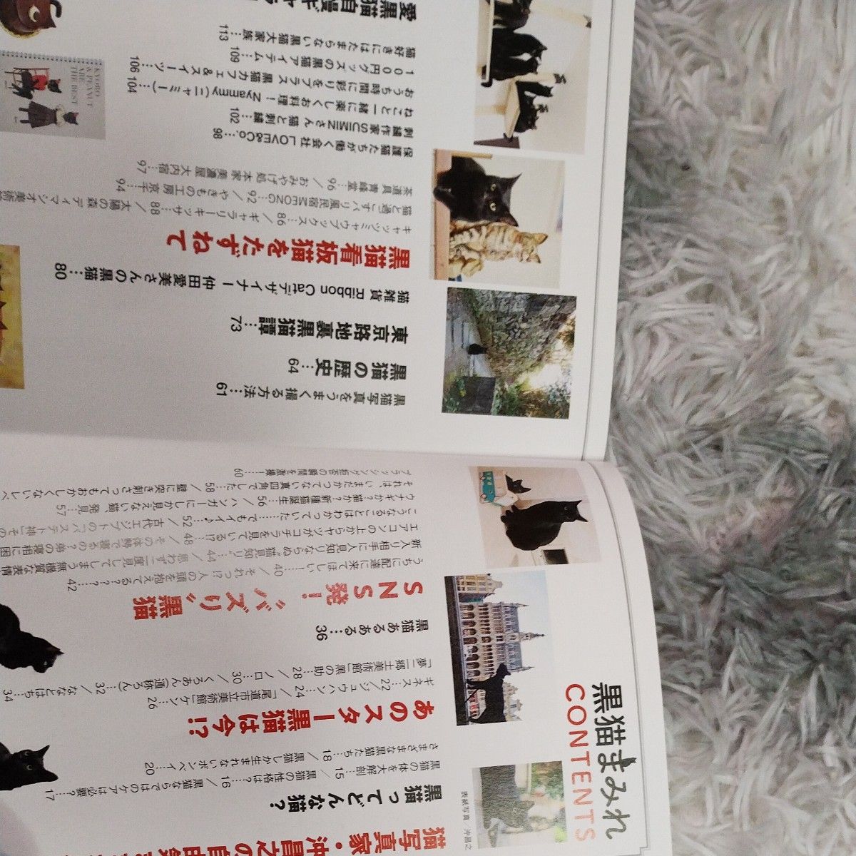 黒猫まみれ　まるごと１冊黒猫マガジン （白夜ムック　６３７） 黒猫愛好会／編