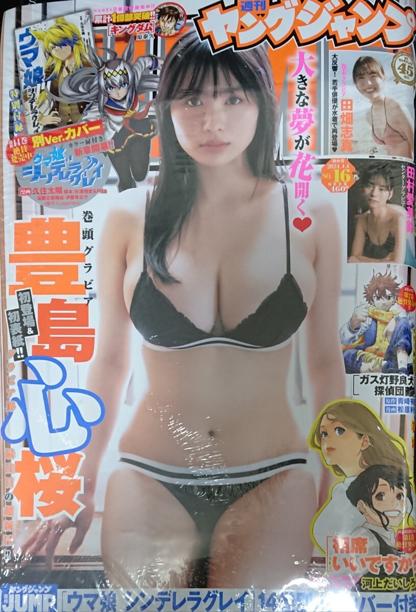 新品未開封 週刊ヤングジャンプ 2024年4月4日16号 豊島心桜 田村愛美鈴 田畑志真 _画像1