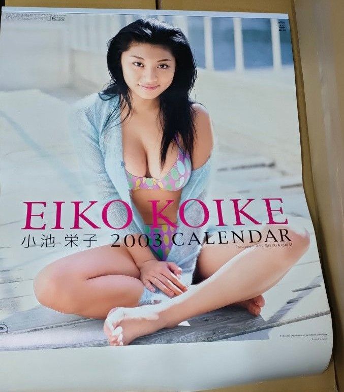 小池栄子 カレンダー 2003 未使用品 水着ビキニ ポスター
