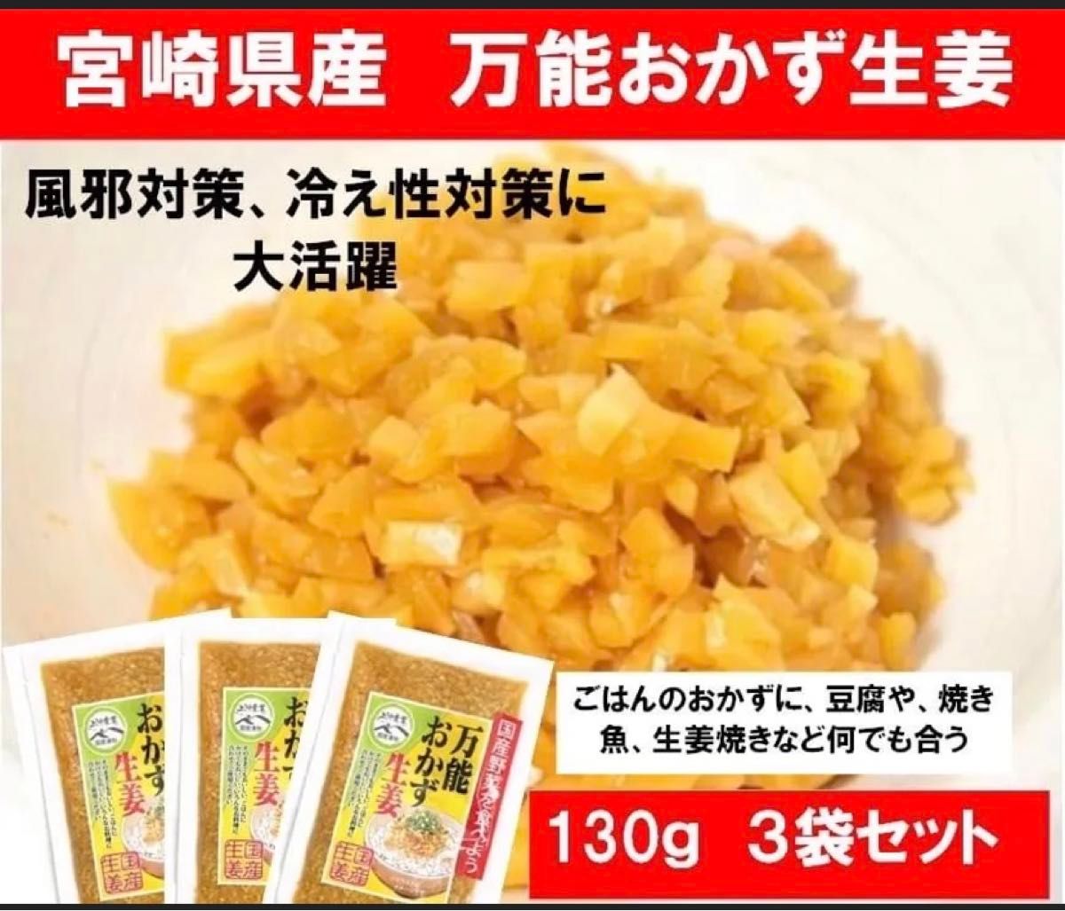 【宮崎のお漬物】万能おかず生姜　130ｇ×3袋 上沖産業