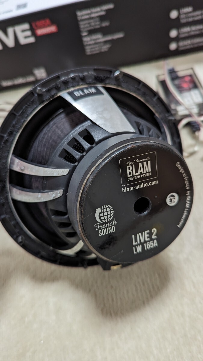 BLAM L165A LIVE Series Speakers_画像3