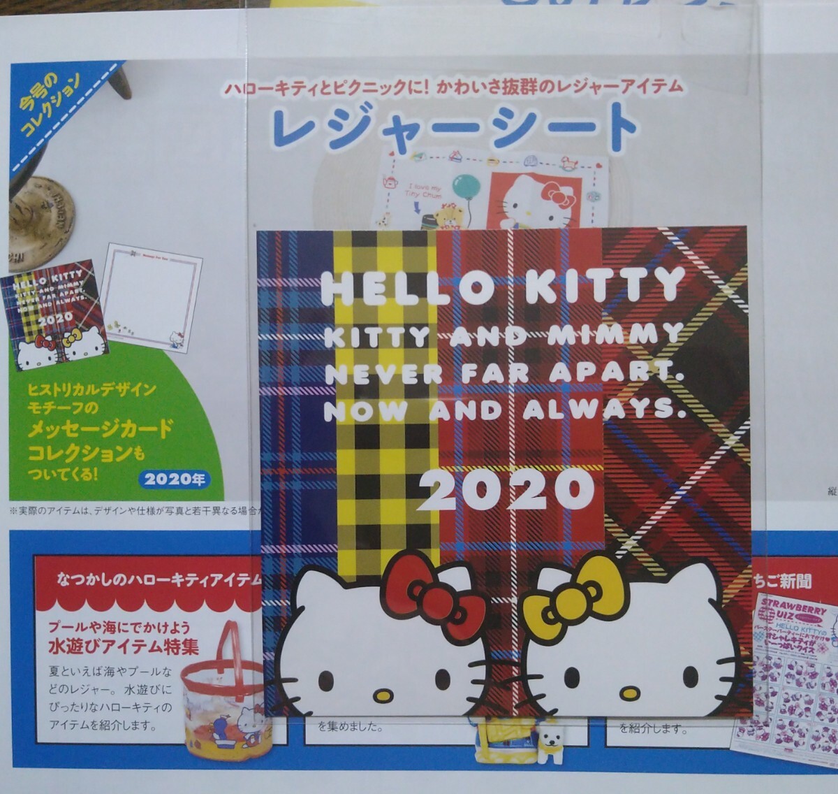 昭和レトロ No.46.48 HELLO KITTY なつかしのアイテムコレクション ハローキティ サンドイッチケース（1988）＆レジャーシート＆カード2枚の画像4