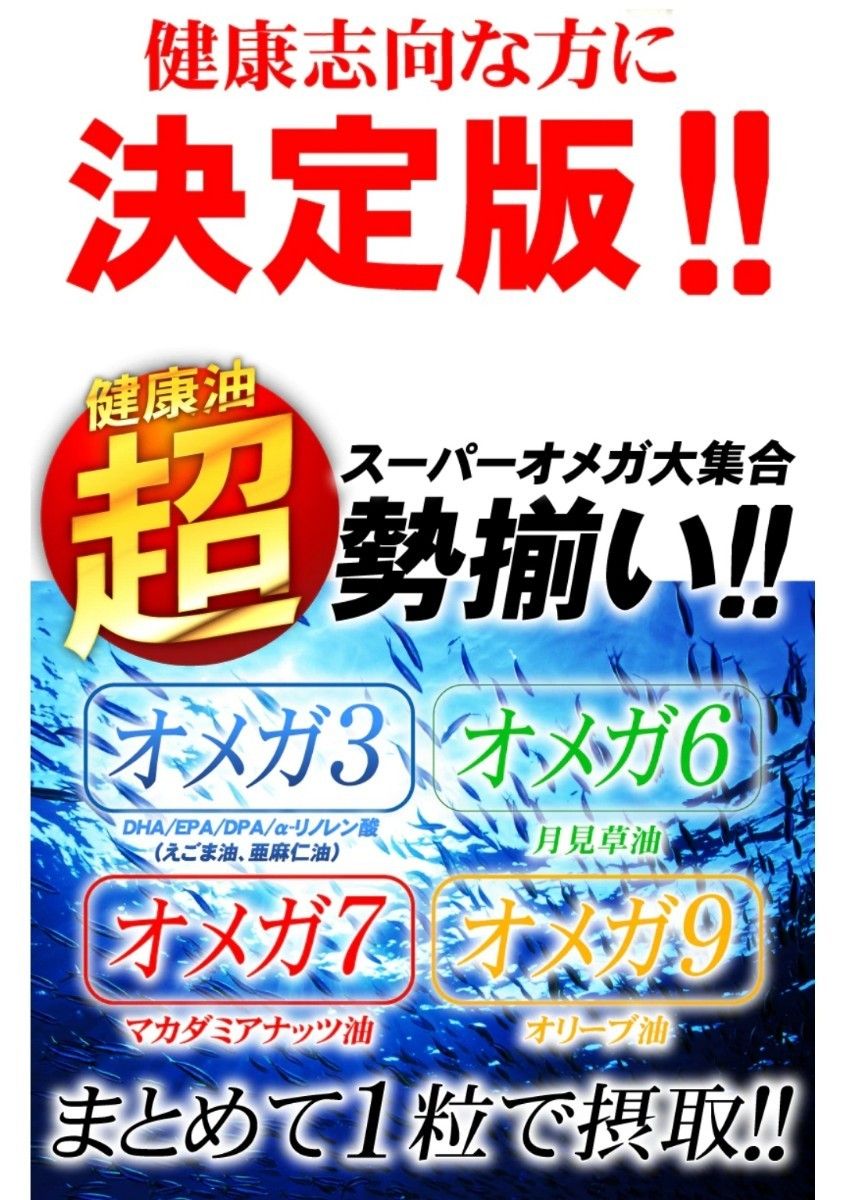 (今だけ値下げ中)オメガ3 DHA EPA DPA α-リノレン酸 えごま油 亜麻仁油　6ヶ月分×2袋 (12ヶ月分)