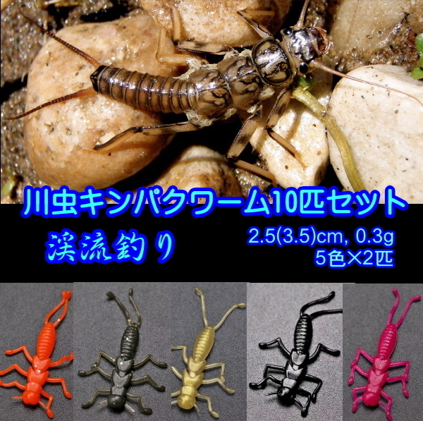 ■川虫キンパクワーム10匹セット■3cm　カワゲラ オニチョロ　渓流釣り　イワナ/ヤマメ/アマゴ/ニジマス_画像1