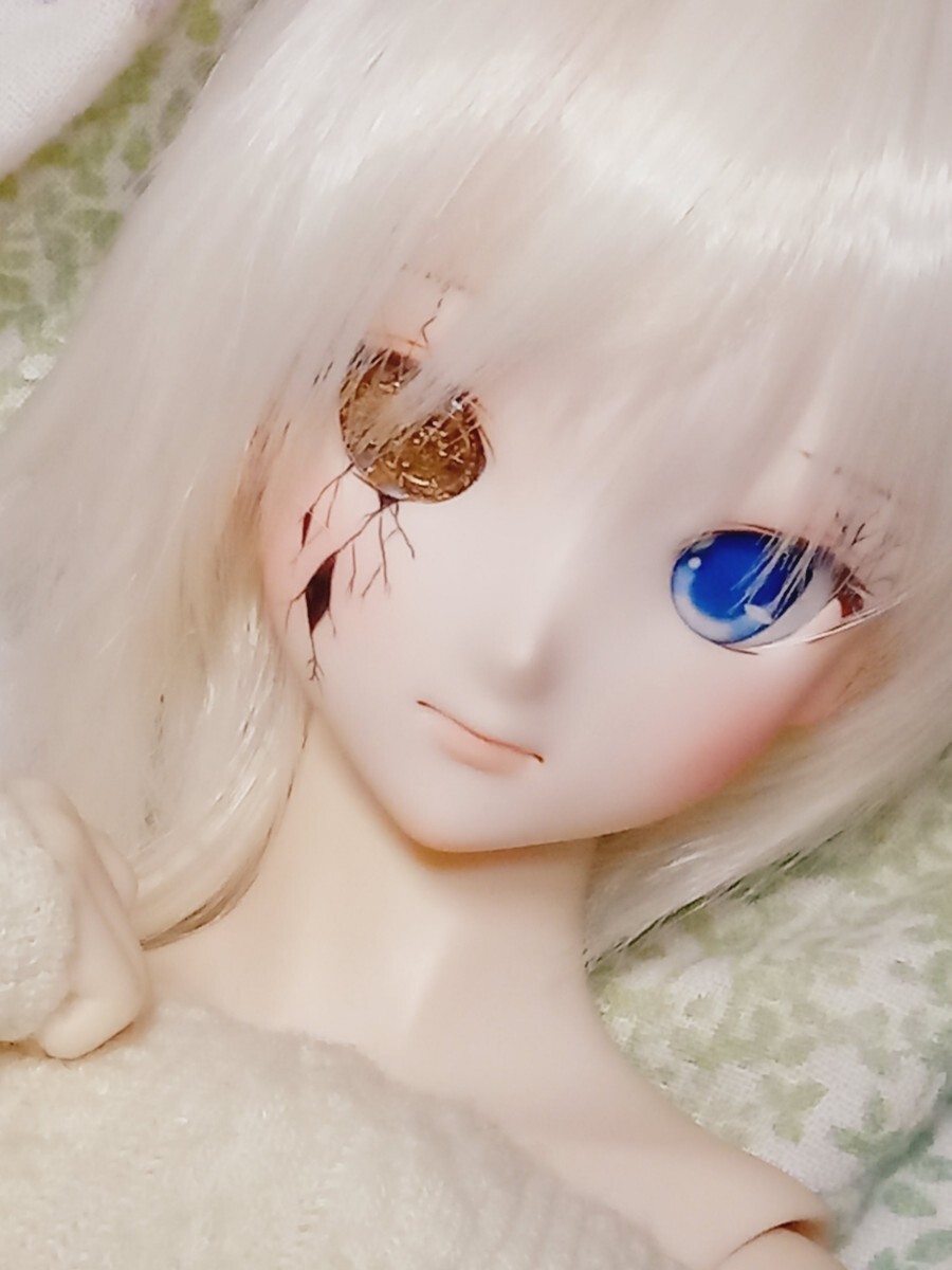 Yahoo!オークション - DDH-09カスタムヘッド(セミホワイト肌)+ Yahoo!オークション - DDH-09カスタムヘッド(セミホワイト肌)+